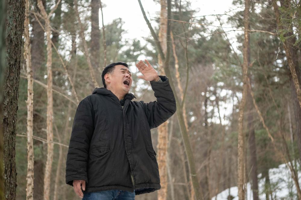 星空体育在线入口新时代中国调研行之看区域·东北篇｜小兴安岭又响起森林号子(图1)