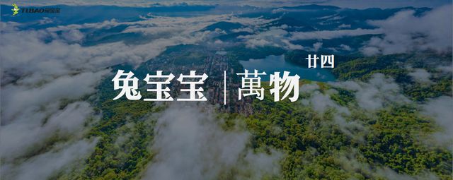 星空体育在线入口兔宝宝板材“萬物·廿四”系列打造别具一格的家生活(图1)